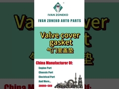 Ivan Zoneko- joints de couverture de soupape