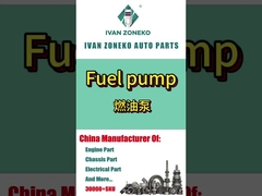 Pompes à carburant Ivan Zoneko